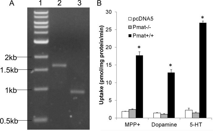 FIGURE 4.