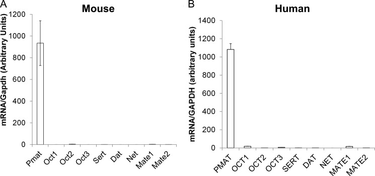 FIGURE 1.