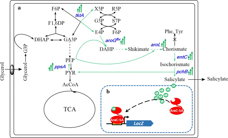 Fig. 1