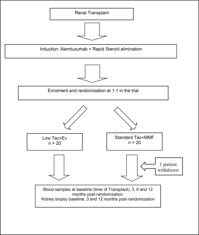 Fig 1