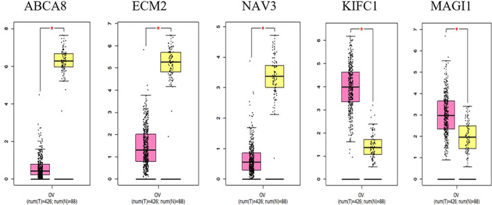 FIGURE 3