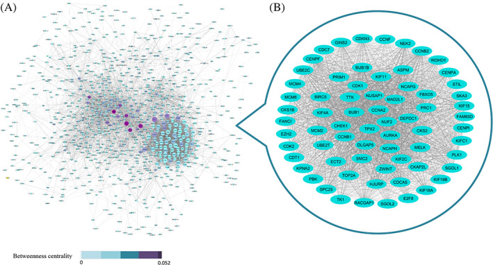 FIGURE 4