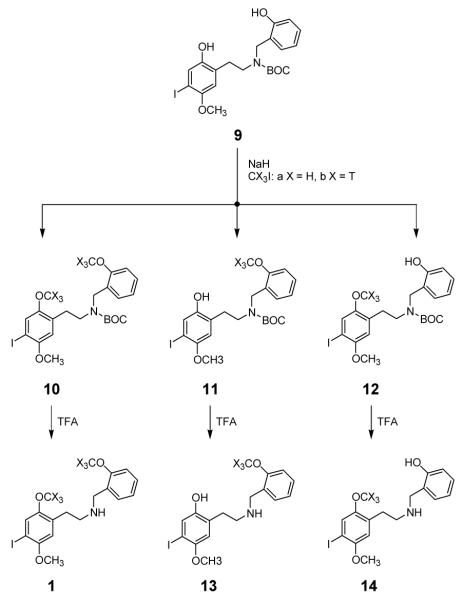 Scheme 2