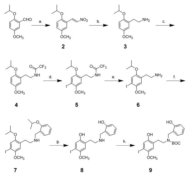 Scheme 1