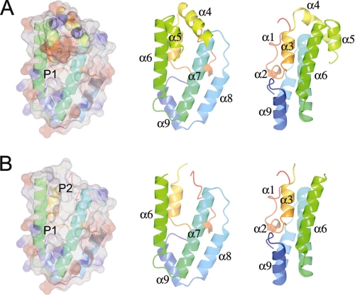 FIGURE 1.