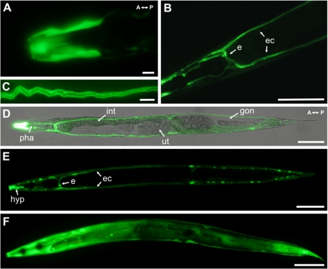 FIGURE 4.