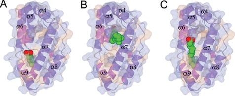 FIGURE 5.