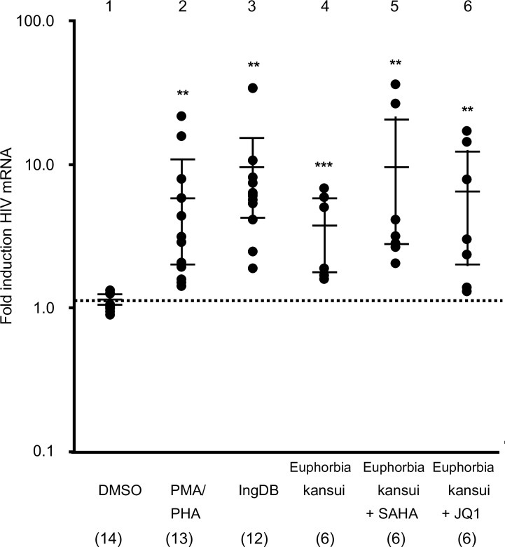 Fig 6