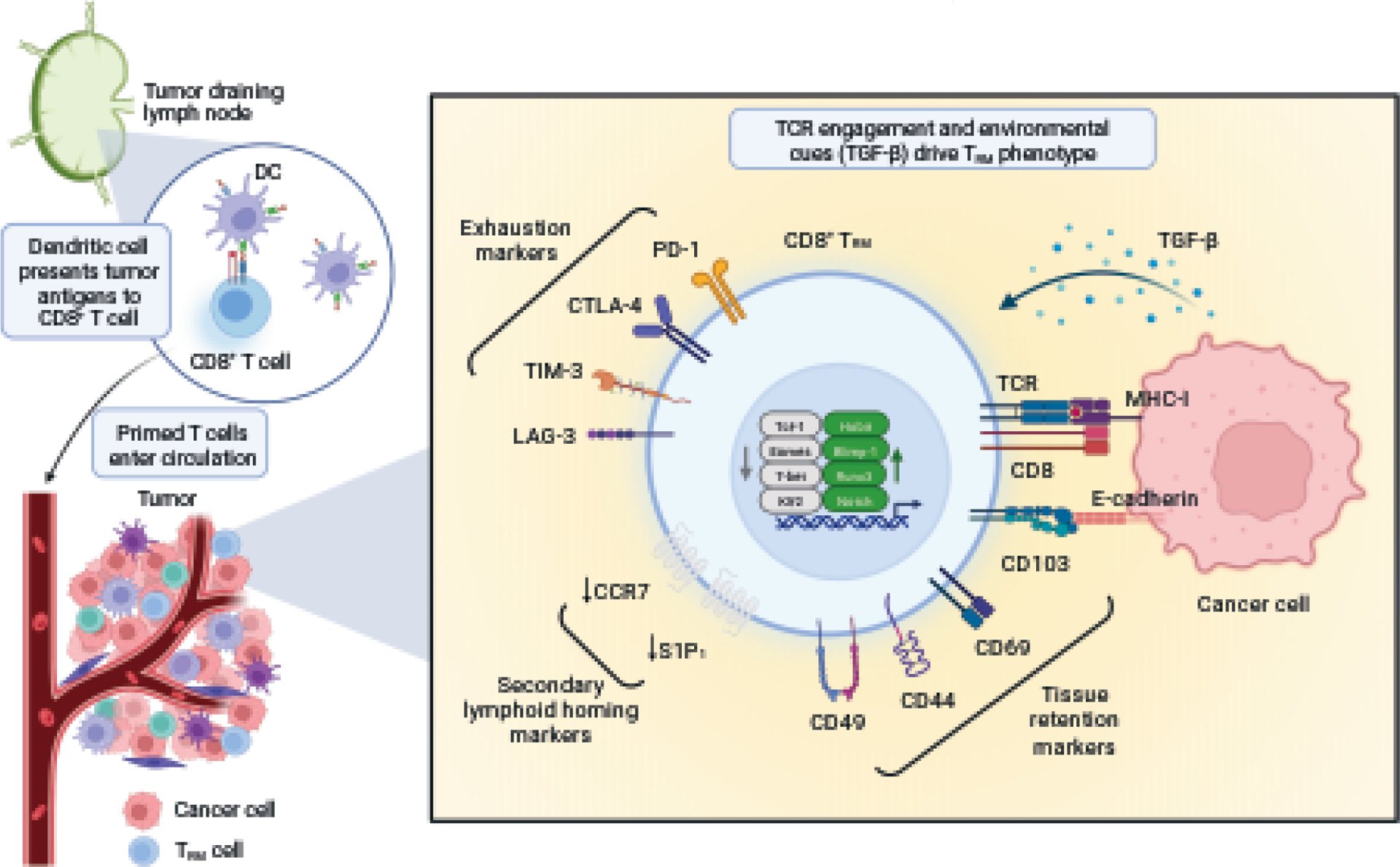 Figure 1: