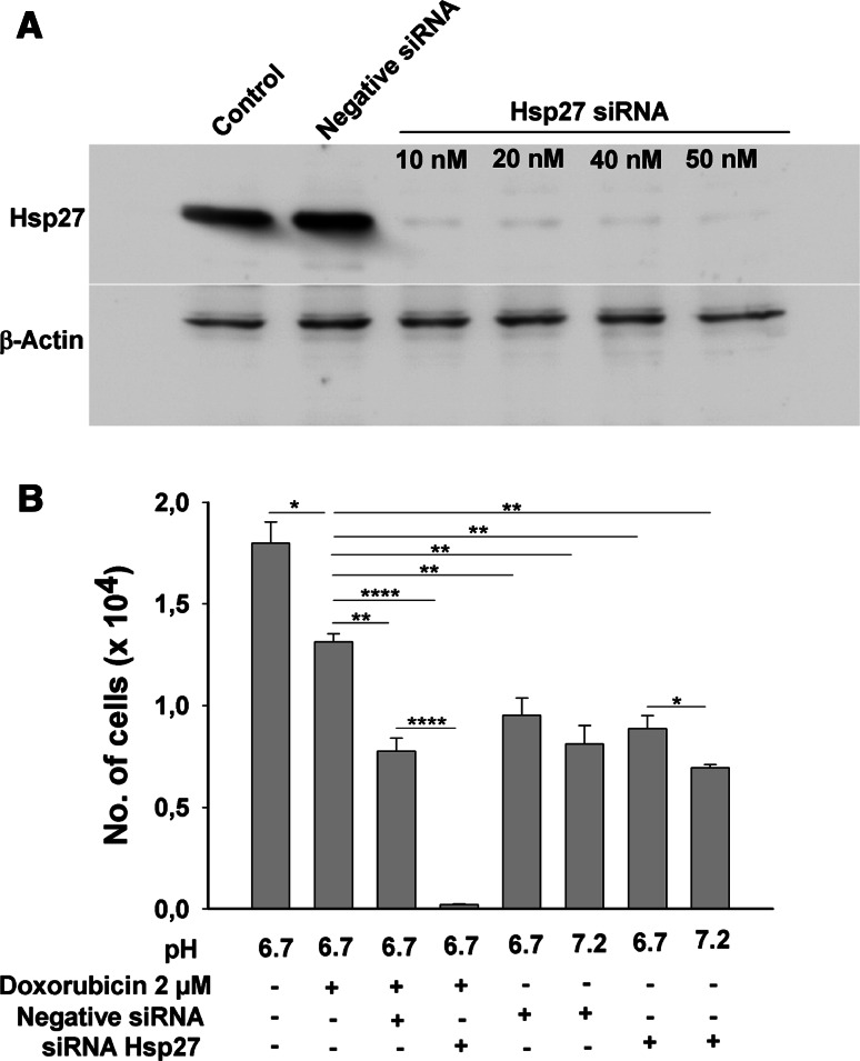 Fig. 8