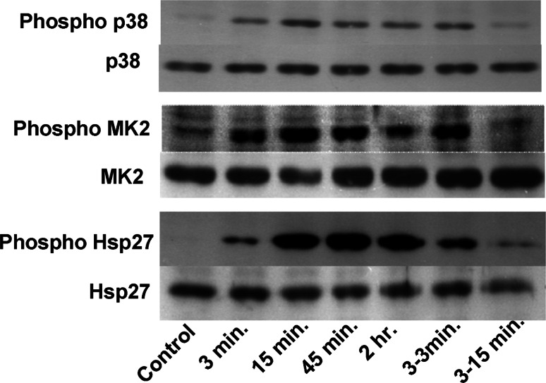 Fig. 6