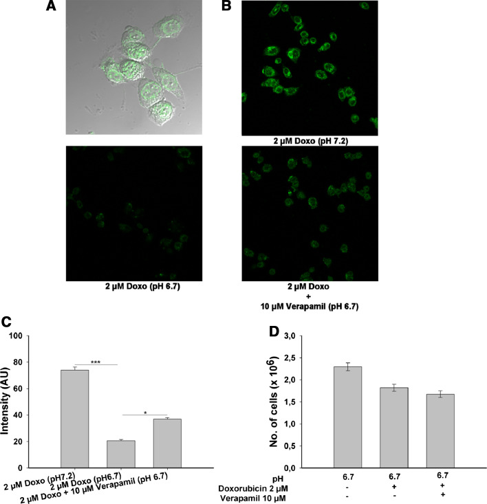 Fig. 2