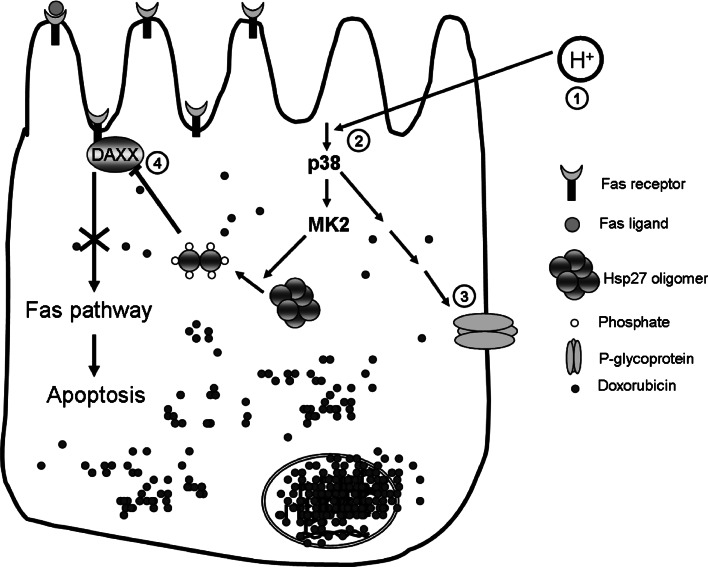 Fig. 9