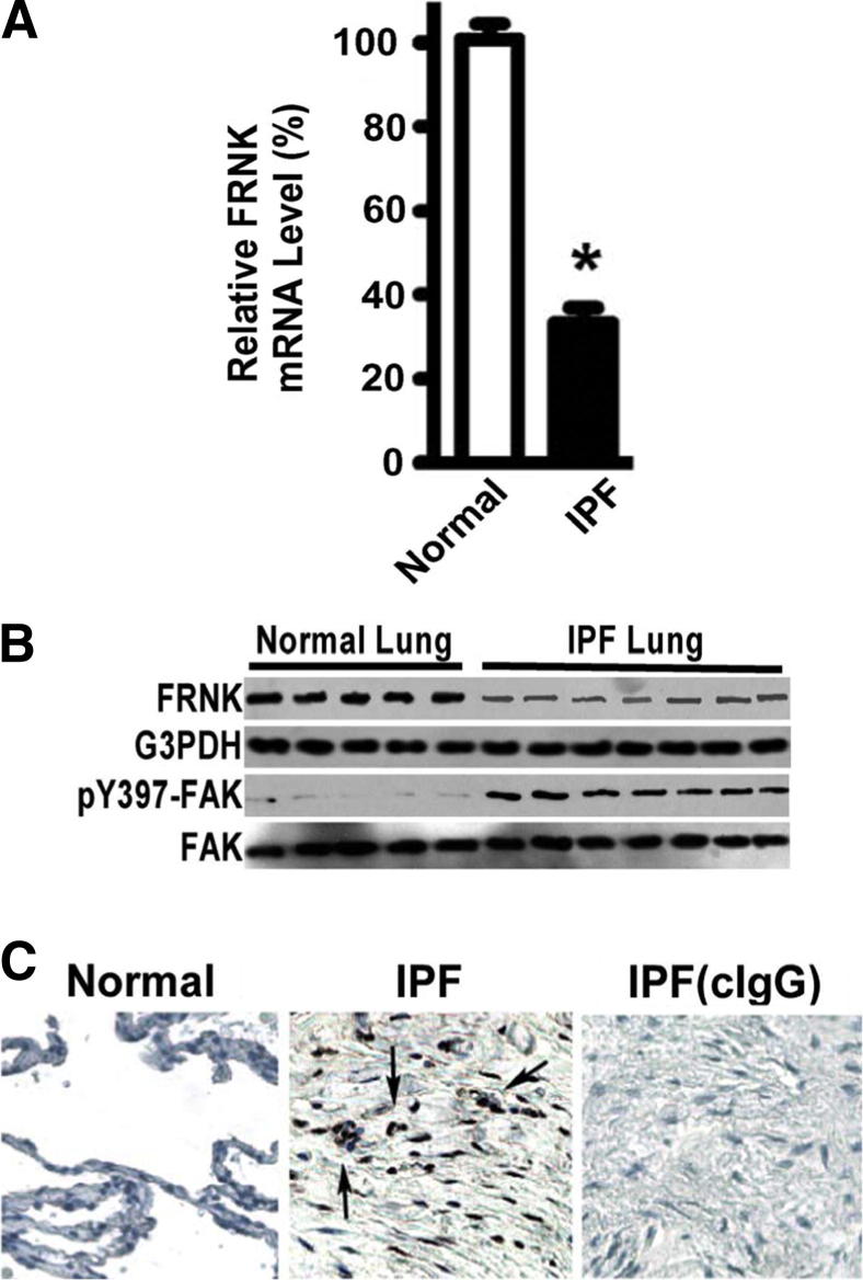 Figure 6