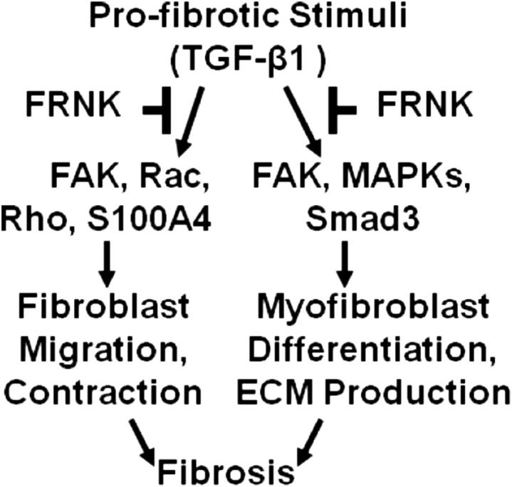 Figure 7