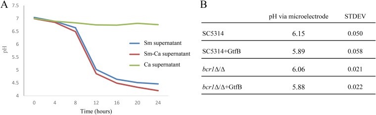 FIG 9