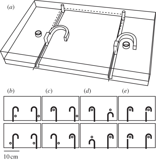 Figure 1.