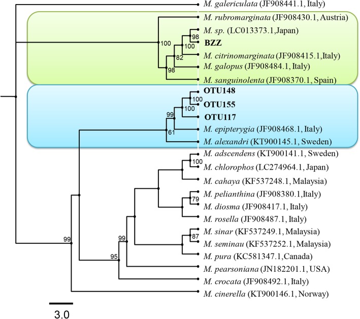 Fig. 4