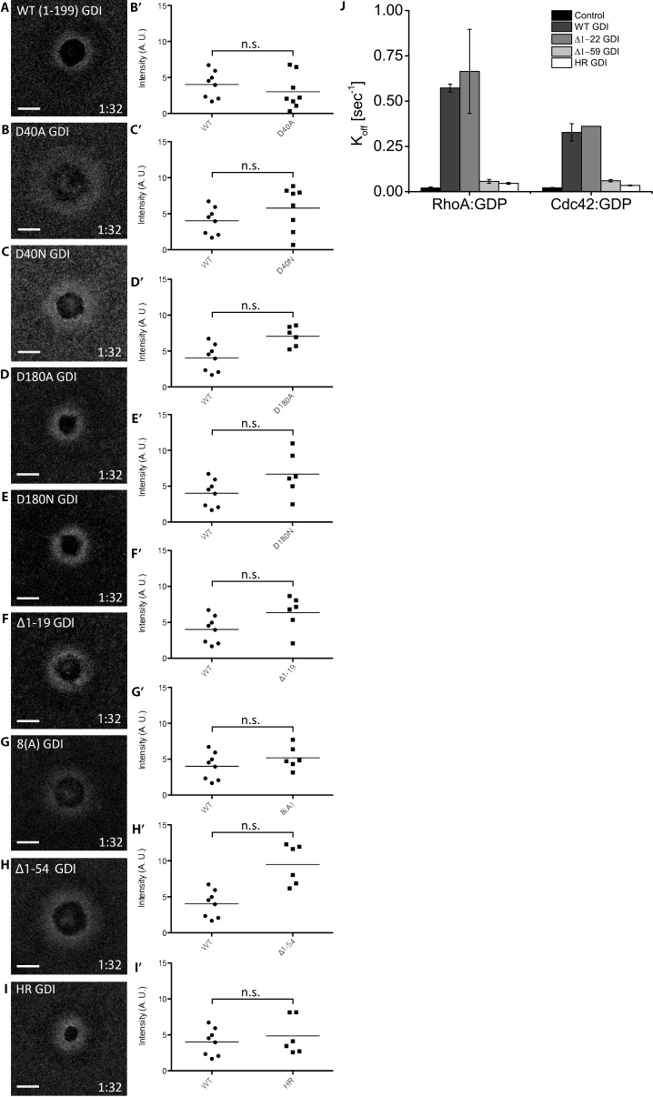 Figure 8—figure supplement 1.