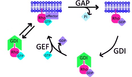 Figure 10.