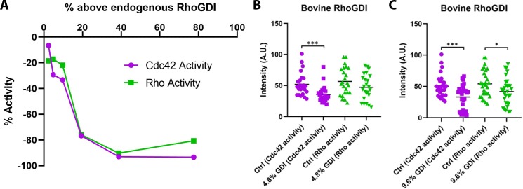 Figure 5—figure supplement 2.