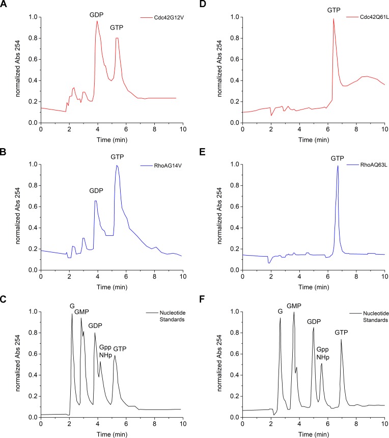 Figure 7—figure supplement 1.