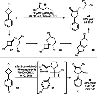 Scheme 8