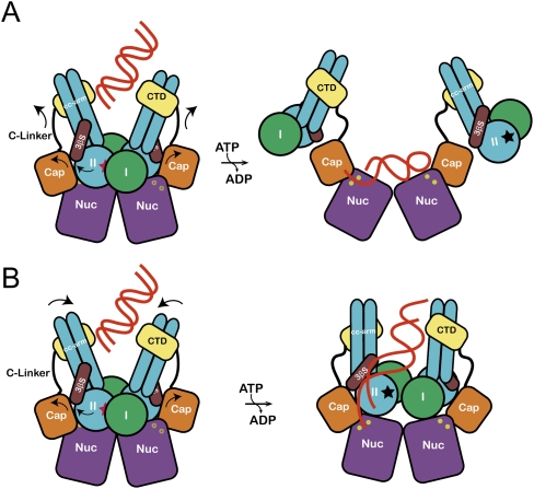 Figure 7.