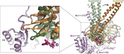 Figure 5.