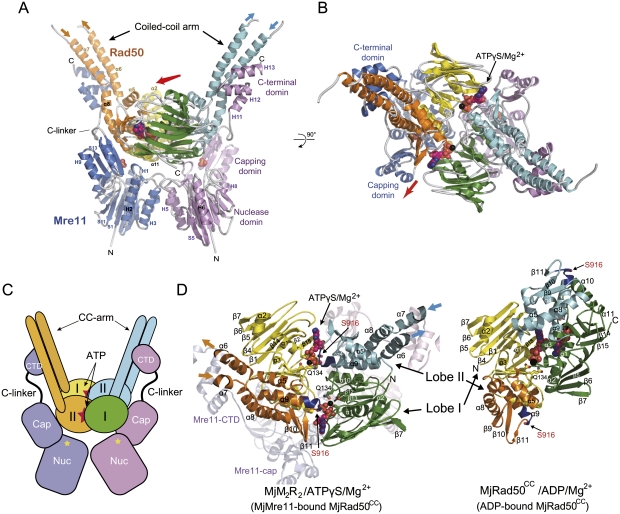 Figure 2.