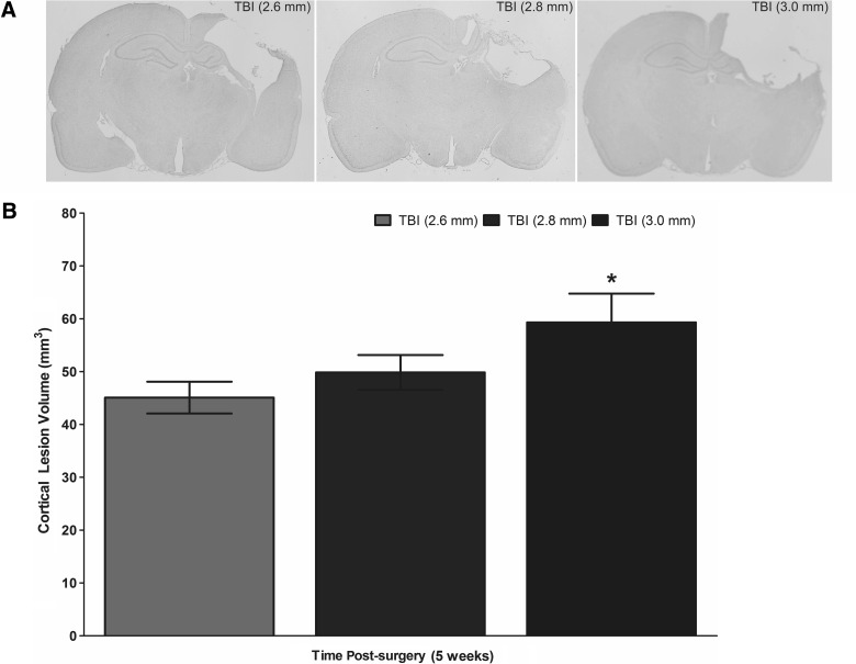 FIG. 6.