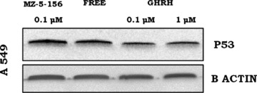 fig 5