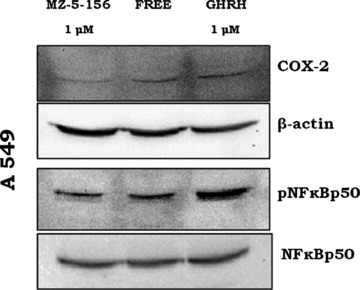 fig 7