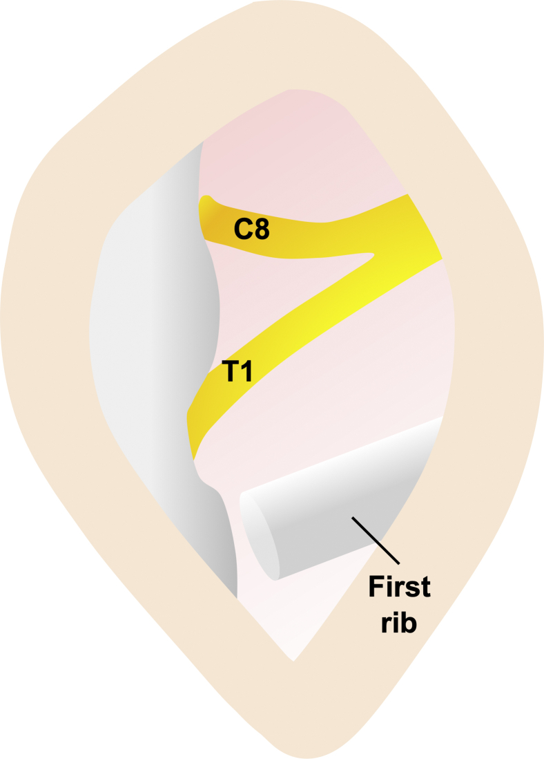 Figure 5