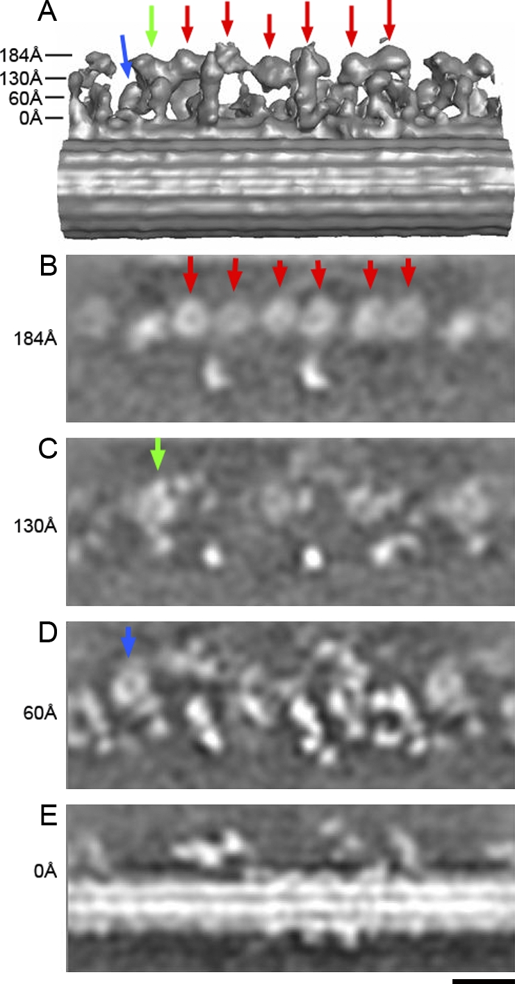 Figure 4.