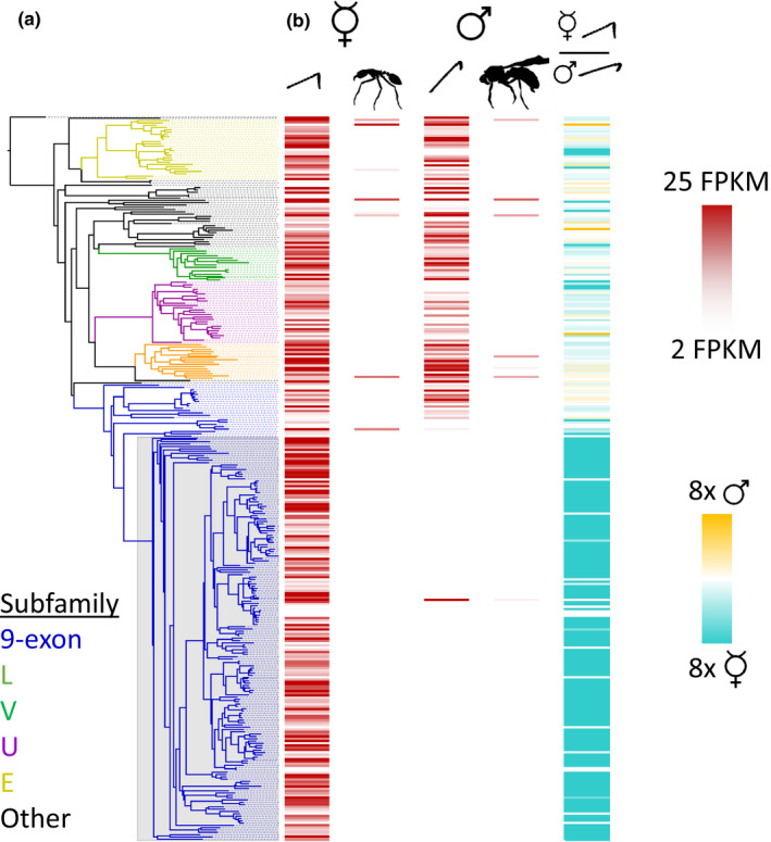 FIGURE 3