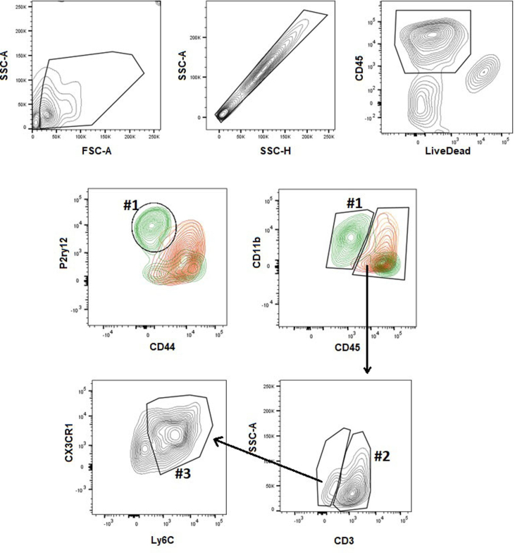 Supplementary Fig. 2