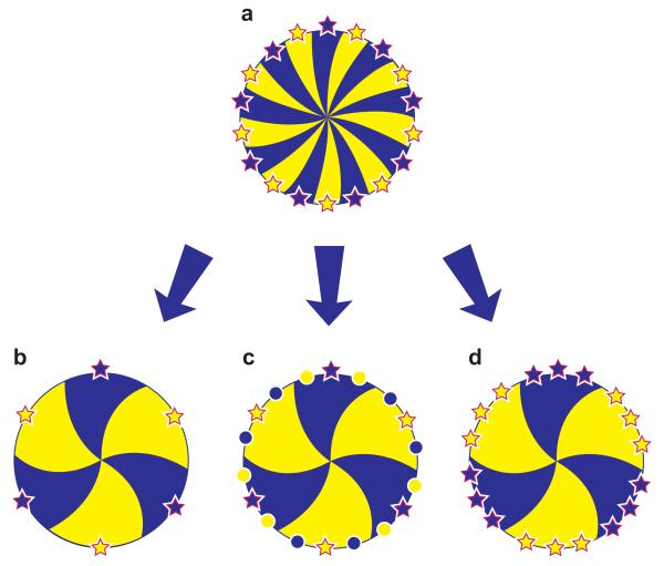 Fig. 19.5