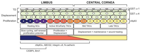 Fig. 19.2