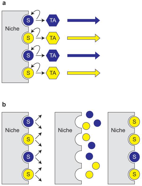 Fig. 19.6