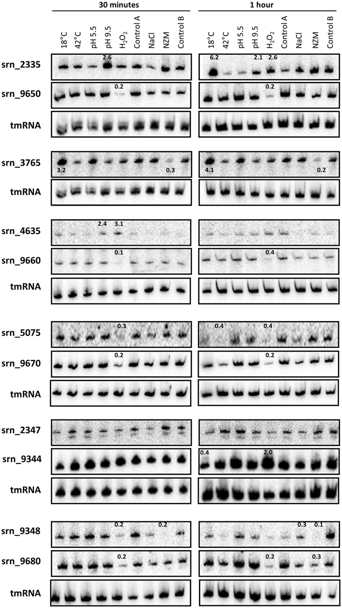 Figure 7