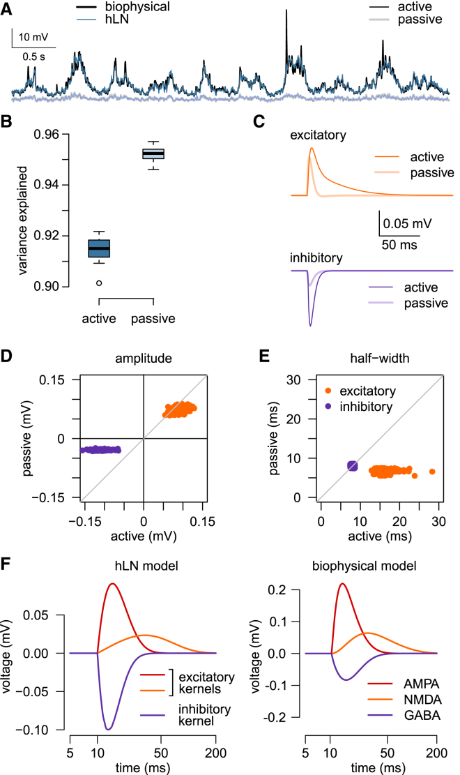 Figure 5