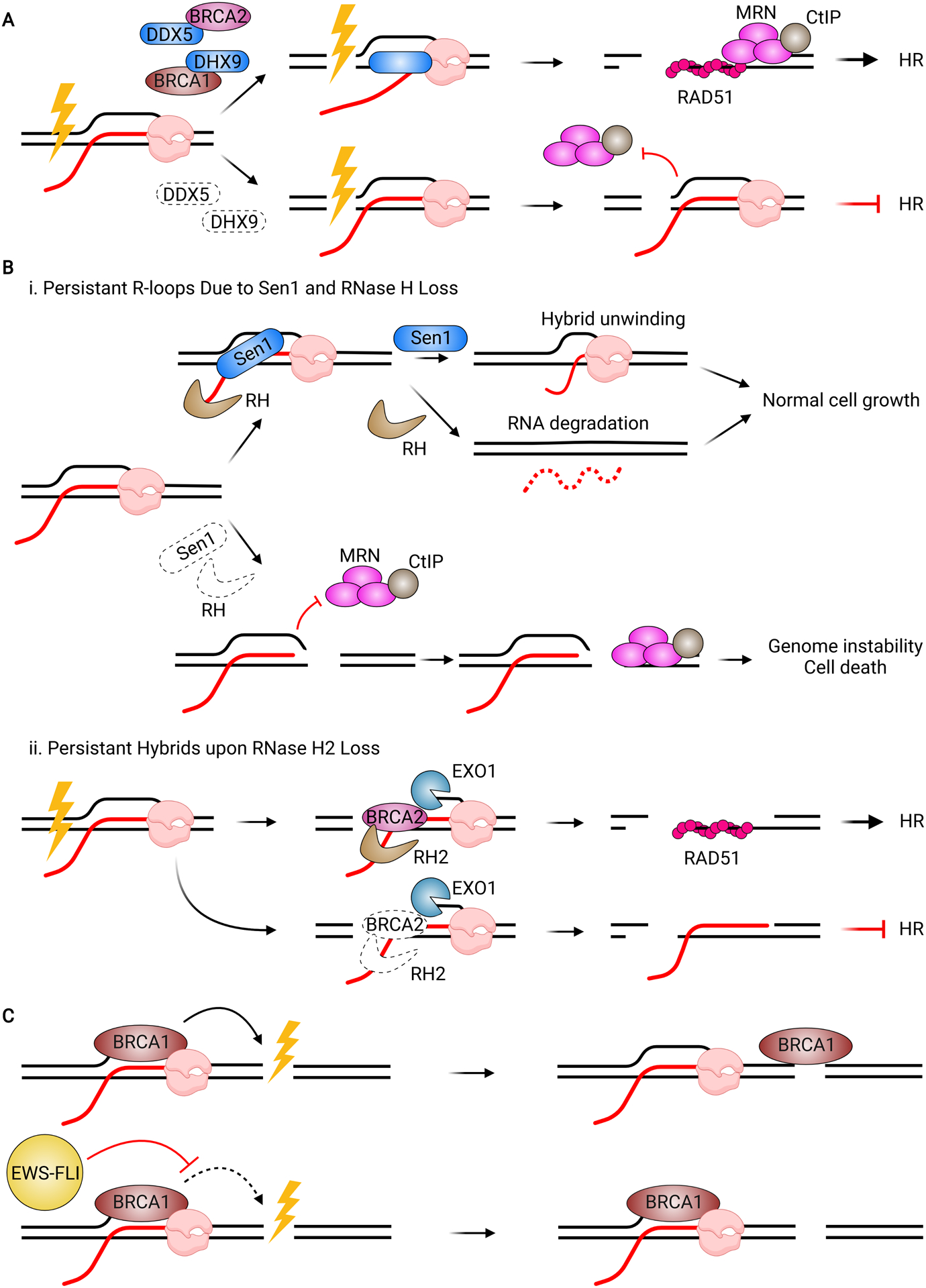 Figure 6.