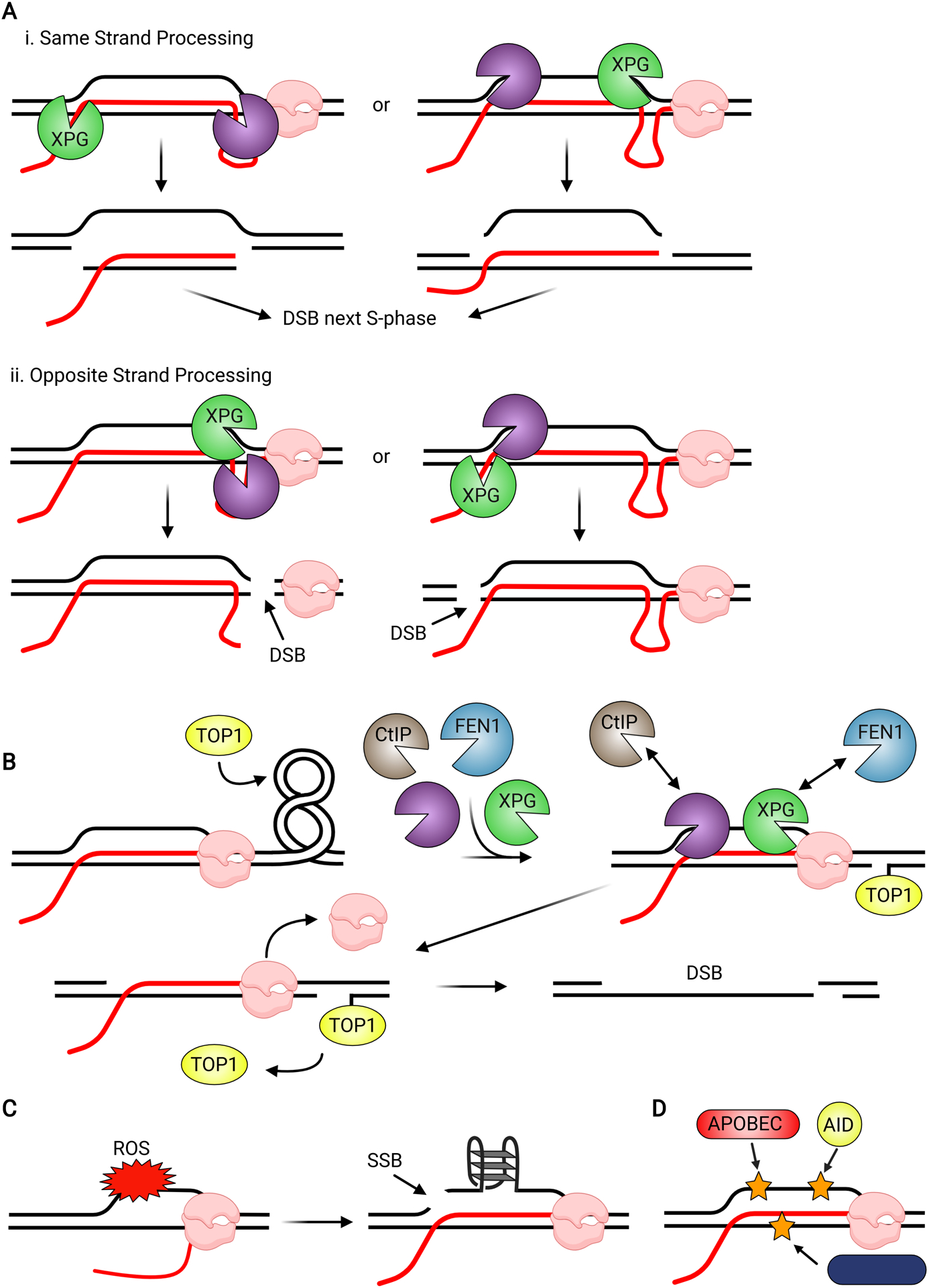 Figure 5.