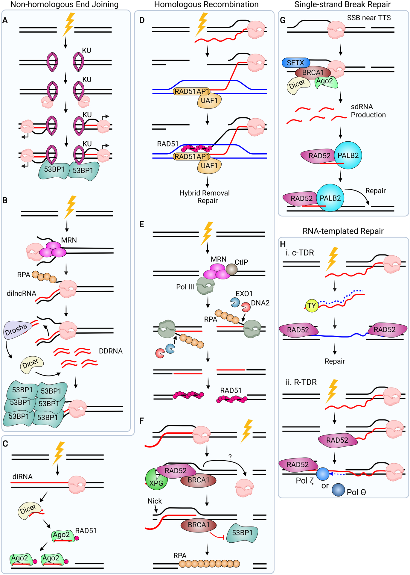 Figure 7.