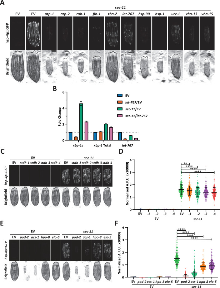 Figure 1—figure supplement 1.