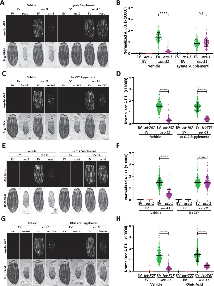 Figure 2—figure supplement 1.