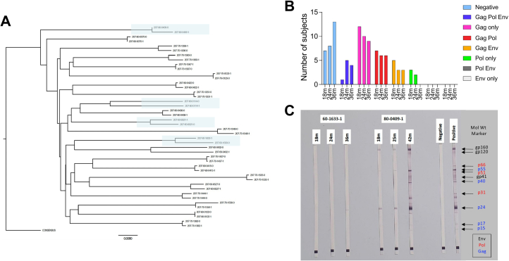 Extended Data Fig. 3