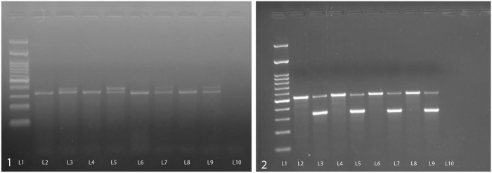 Figures 1, 2.