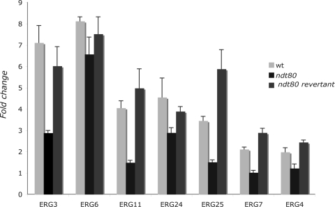 FIG. 4.